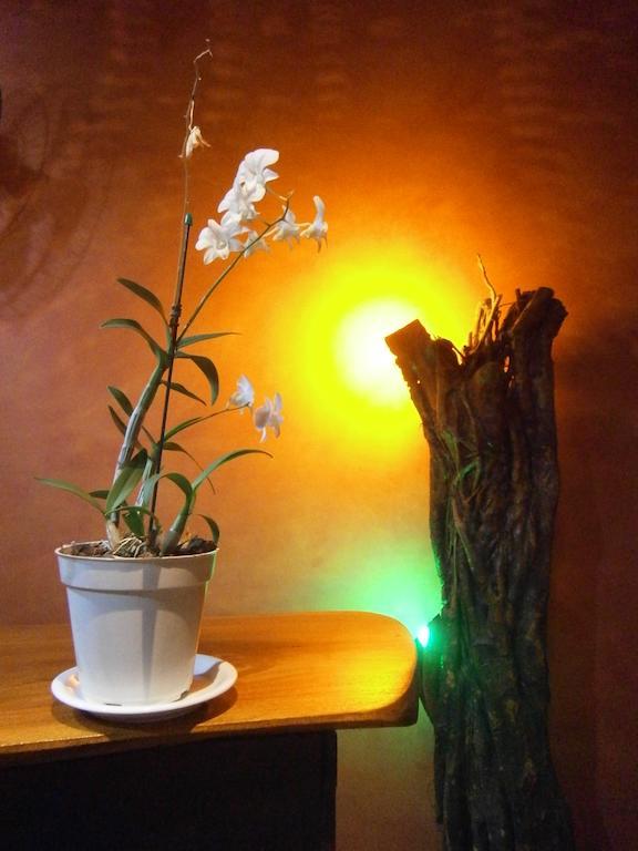 Parahyba Hostel João Pessoa Zewnętrze zdjęcie